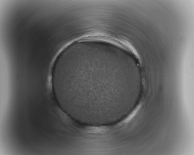 X0000099570781200805231530