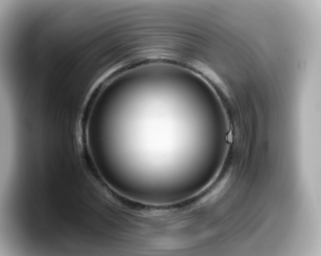 X0000099570782200805231530