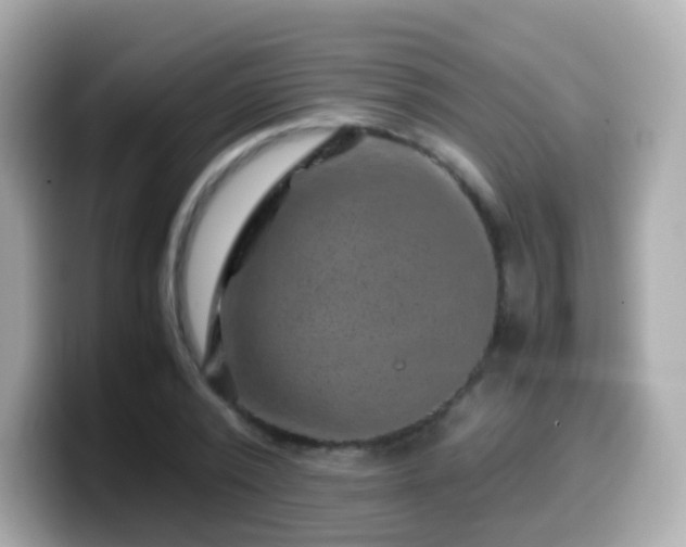 X0000099570784200805231530