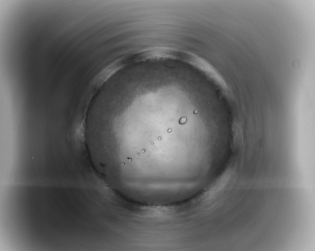 X0000099570785200805231530