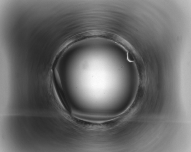 X0000099570786200805231530