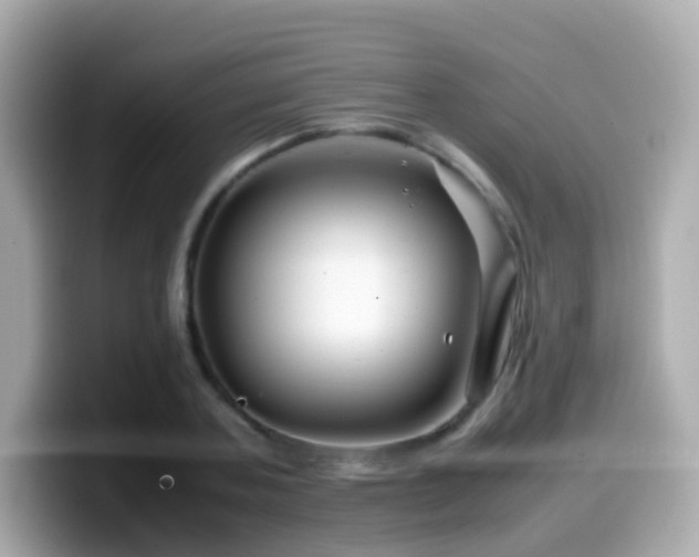 X0000099570787200805231530