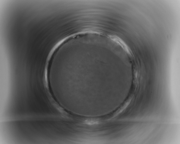 X0000099570788200805231530