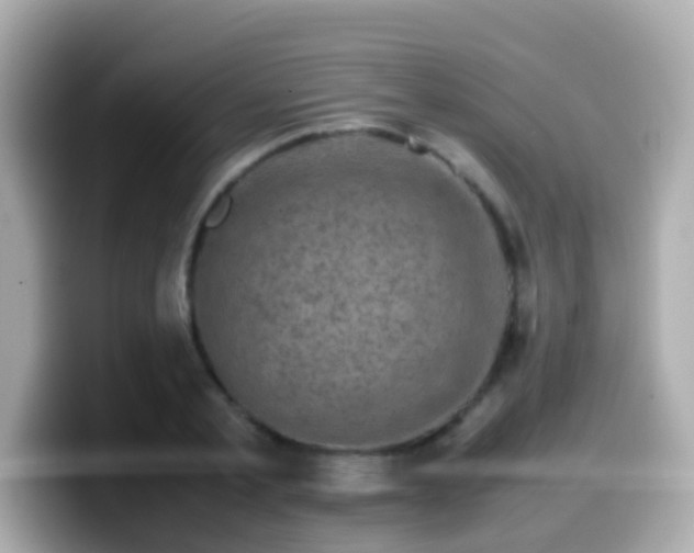 X0000099570789200805231530