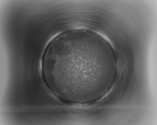 X0000099570790200805231530