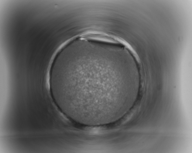 X0000099570791200805231530