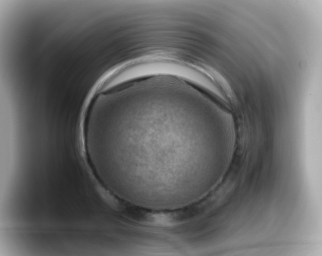 X0000099570792200805231530