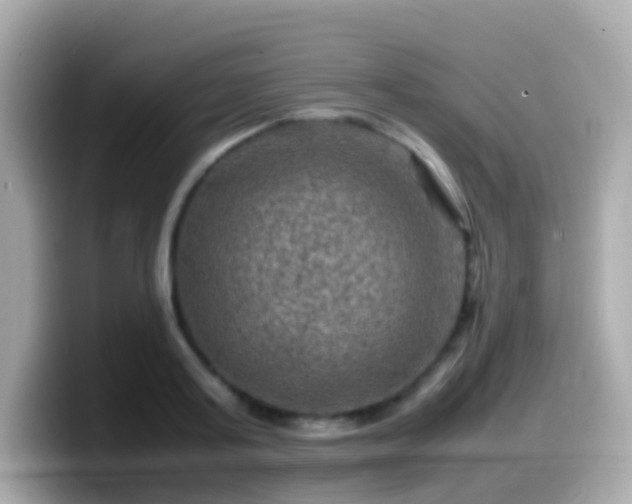 X0000099570795200805231530