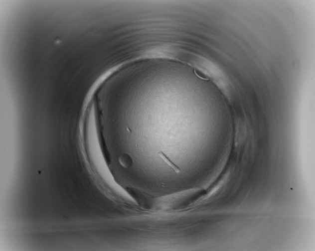 X0000099570796200805231530