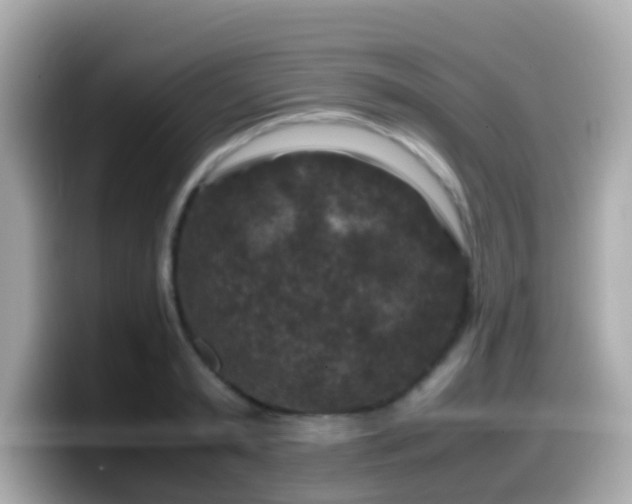 X0000099570797200805231530