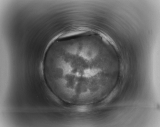 X0000099570798200805231530