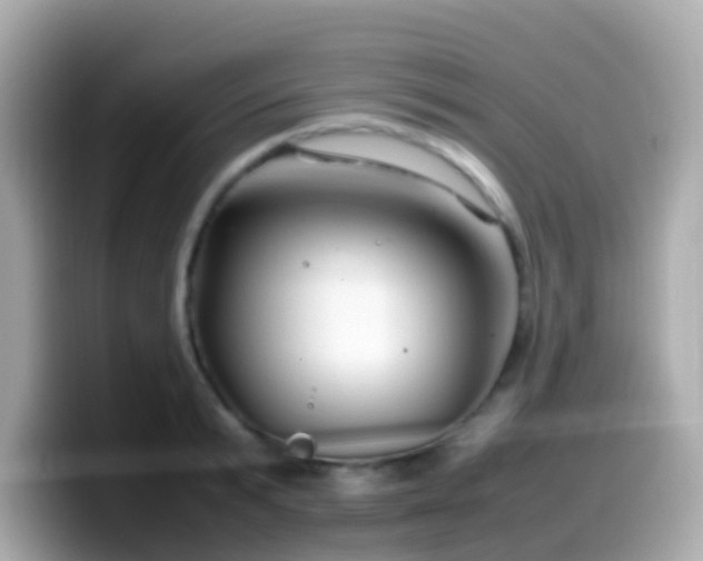 X0000099570799200805231530