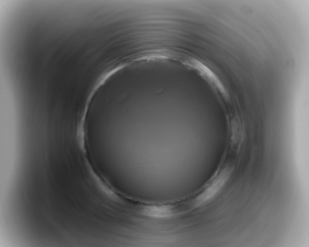 X0000099570802200805231530