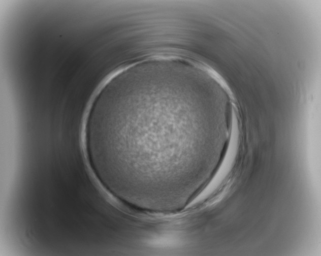 X0000099570803200805231530