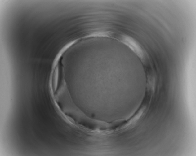 X0000099570804200805231530