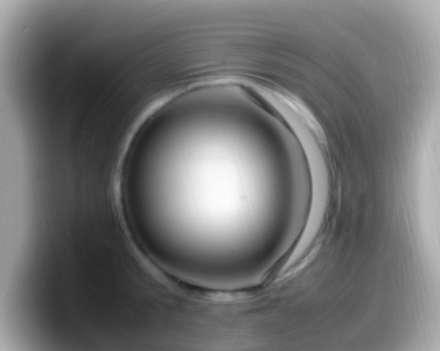 X0000099570805200805231530