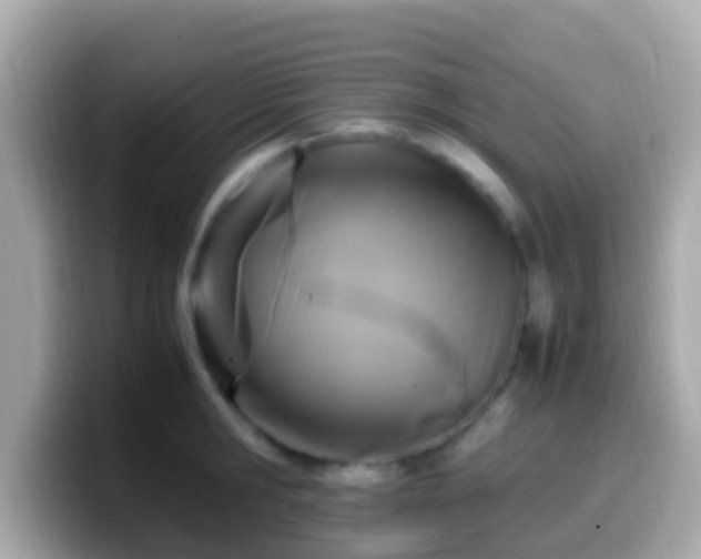 X0000099570806200805231530