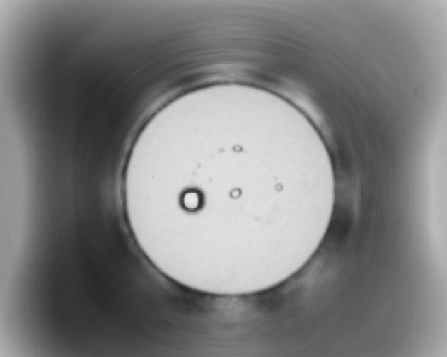 X0000099570807200805231530