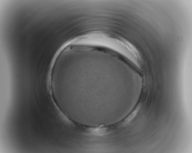 X0000099570808200805231530