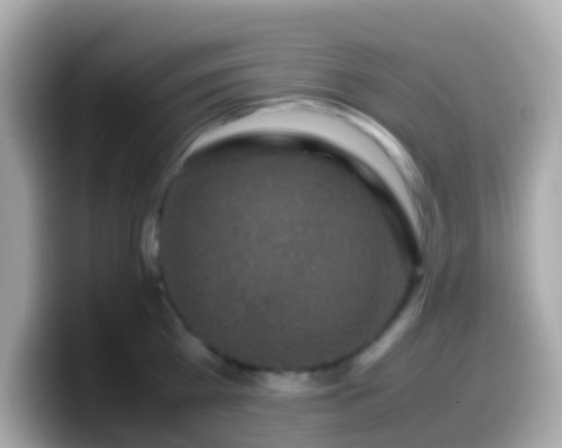 X0000099570809200805231530