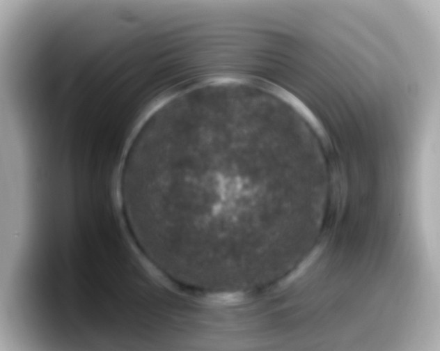 X0000099570810200805231530