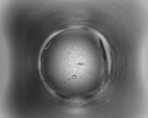 X0000099570811200805231530