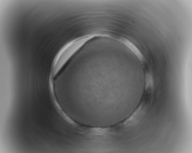 X0000099570812200805231530