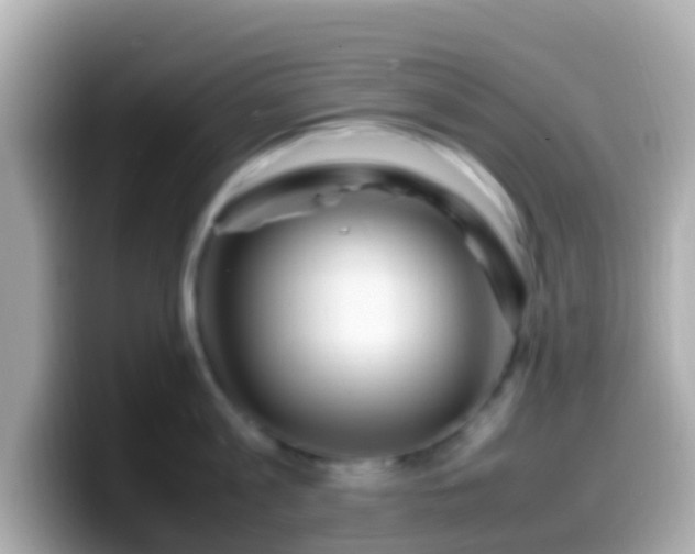 X0000099570813200805231530