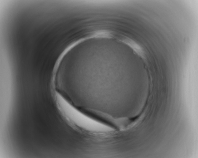 X0000099570816200805231530