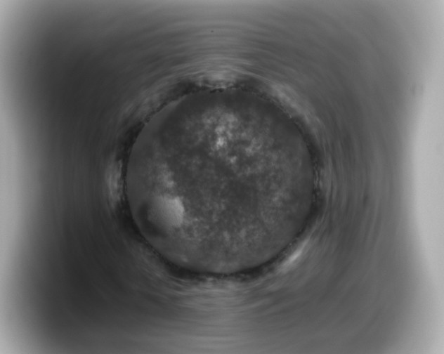 X0000099570818200805231529