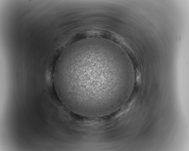 X0000099570819200805231529