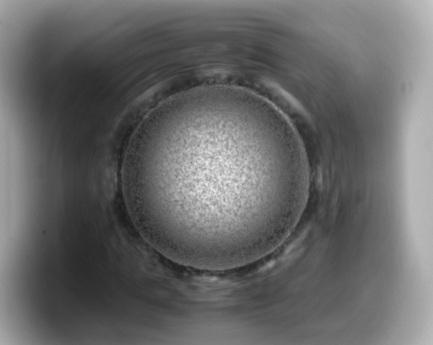 X0000099570821200805231529