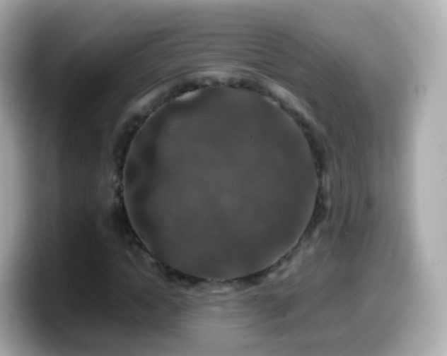 X0000099570822200805231530