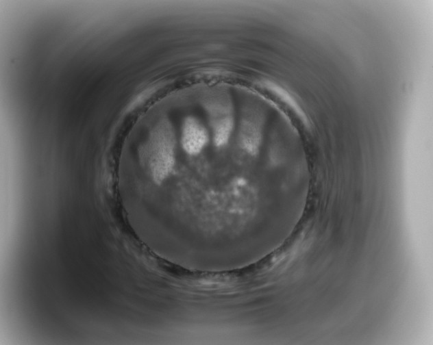 X0000099570823200805231530