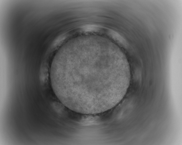 X0000099570824200805231530