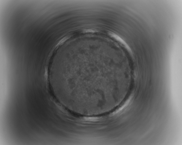 X0000099570825200805231530