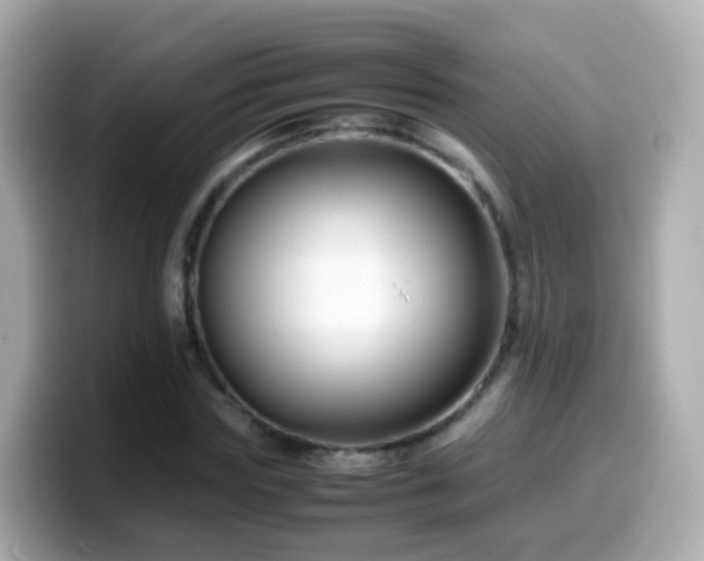 X0000099570827200805231530