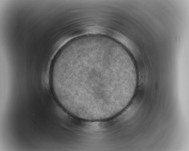 X0000099570828200805231530