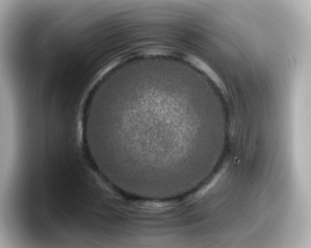 X0000099570829200805231530