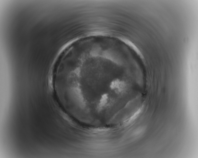 X0000099570830200805231530