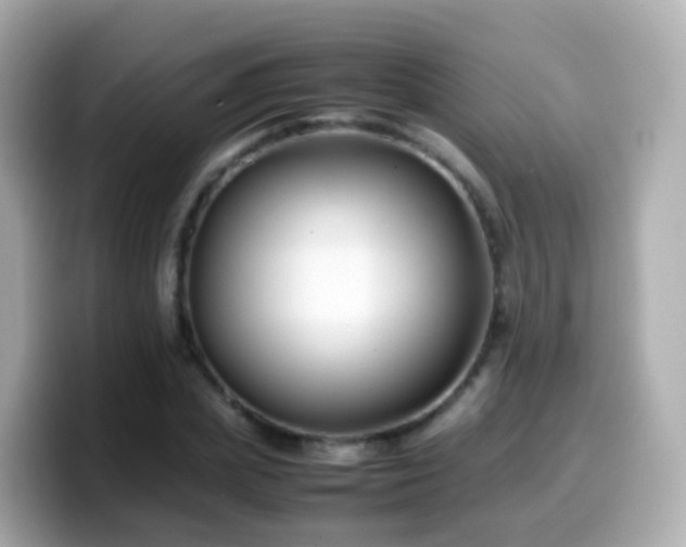 X0000099570831200805231530