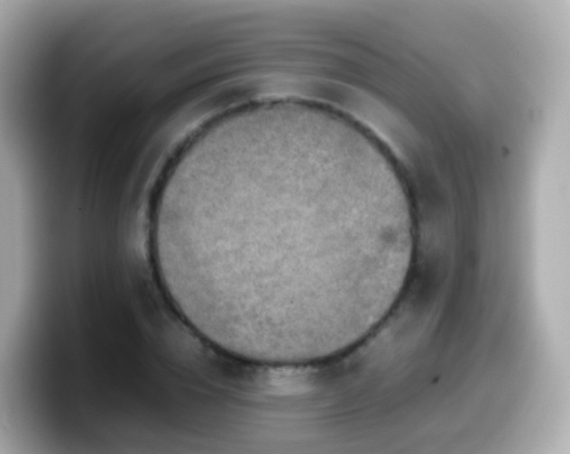 X0000099570832200805231530