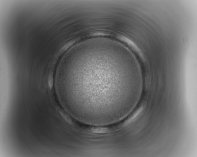 X0000099570833200805231530