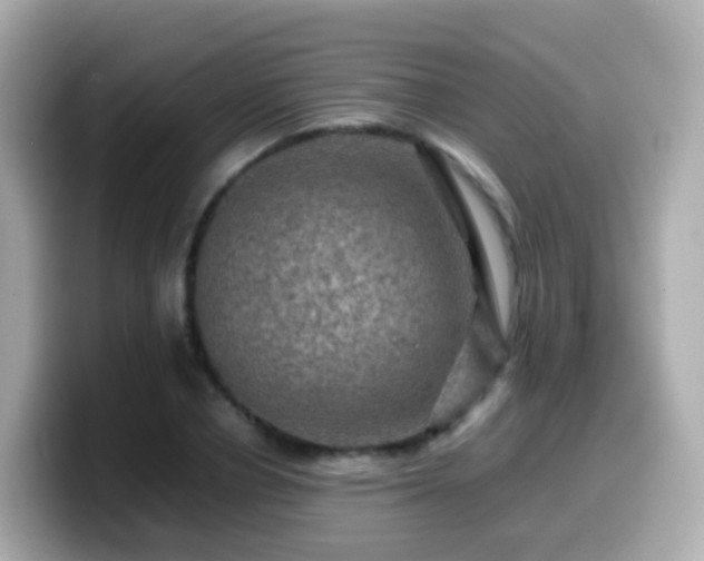 X0000099570834200805231530