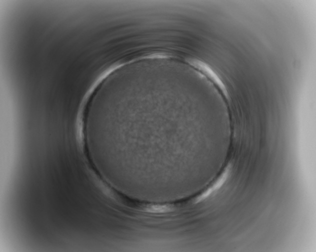 X0000099570835200805231530