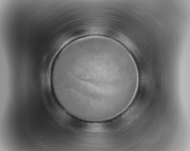 X0000099570836200805231530