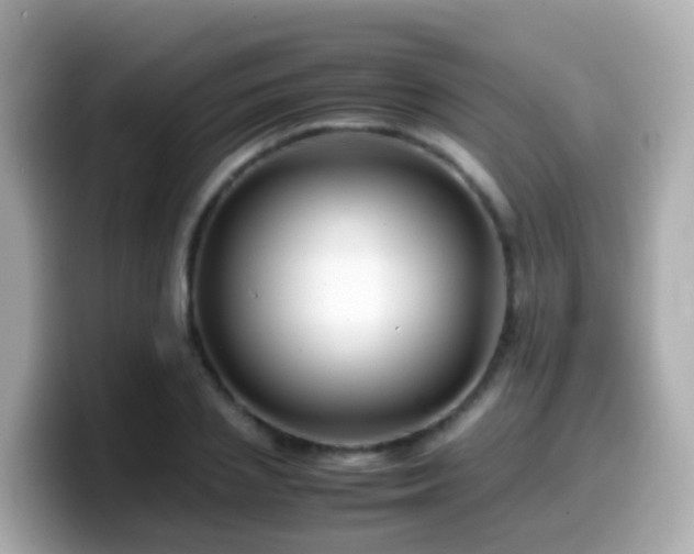 X0000099570837200805231530