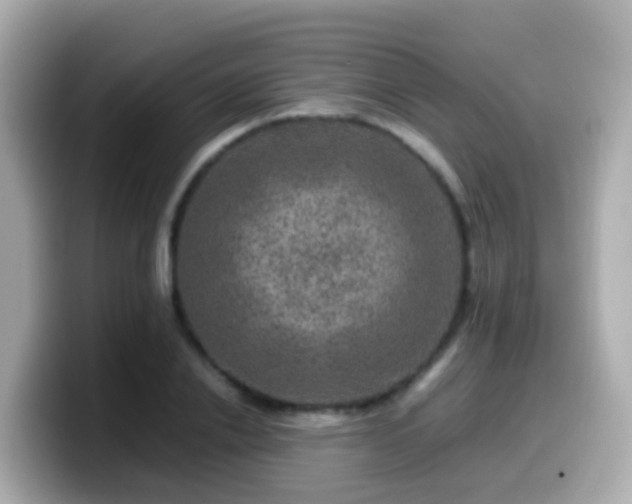 X0000099570838200805231530