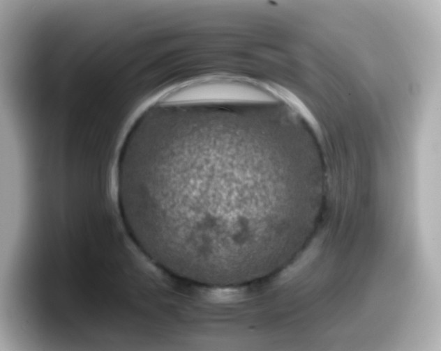 X0000099570839200805231530