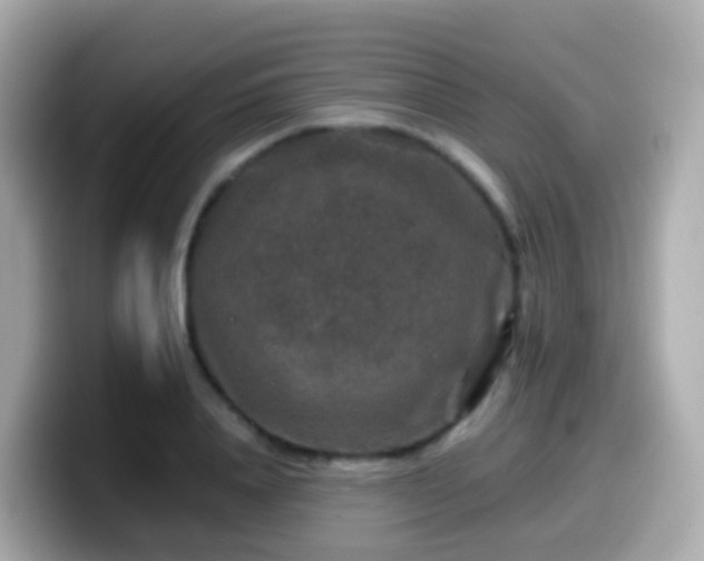 X0000099570840200805231530